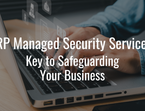 ERP Managed Security Services